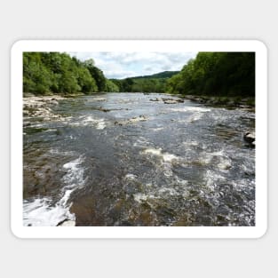 River Wharfe (View Downstream From Aysgarth Falls) Sticker